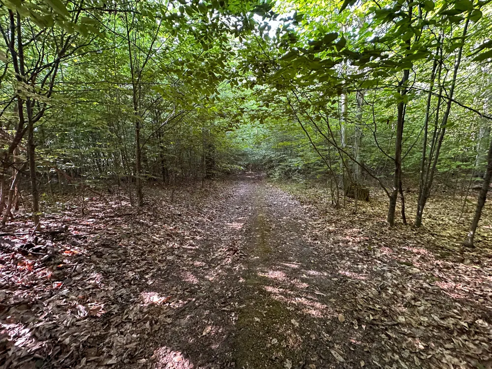 17219 7 Mile Road Reed City, MI 49677