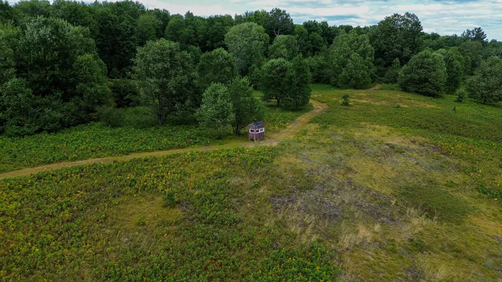 17219 7 Mile Road Reed City, MI 49677