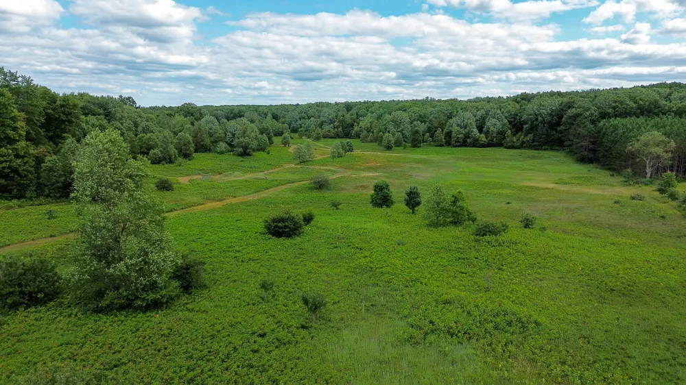 17219 7 Mile Road Reed City, MI 49677