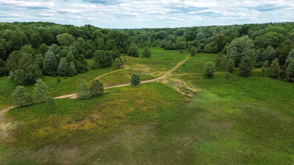 17219 7 Mile Road Reed City, MI 49677