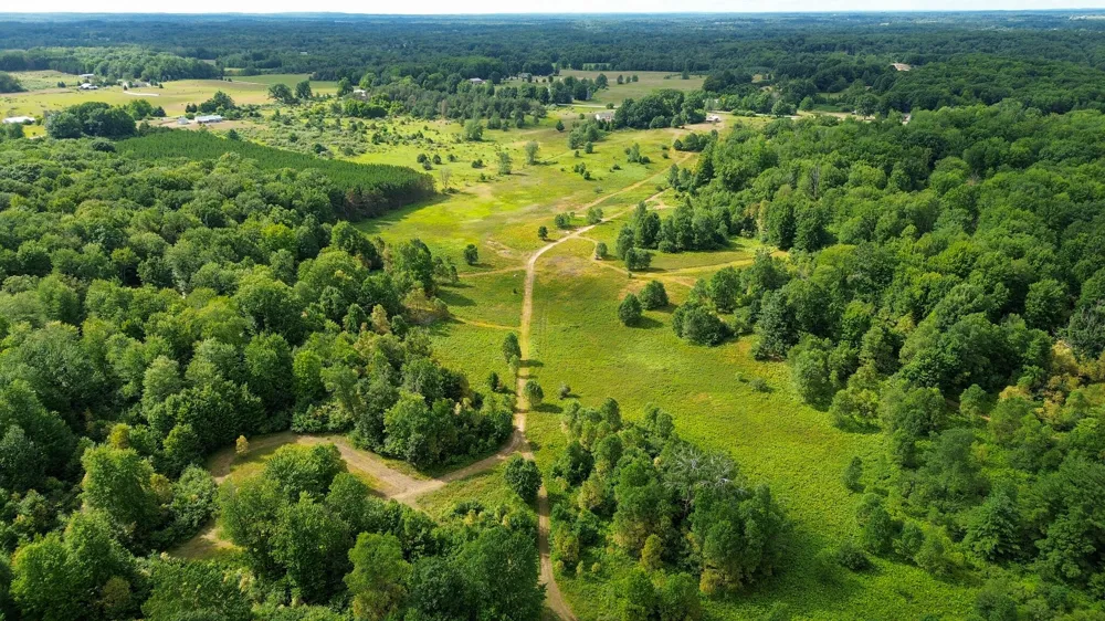 17219 7 Mile Road Reed City, MI 49677
