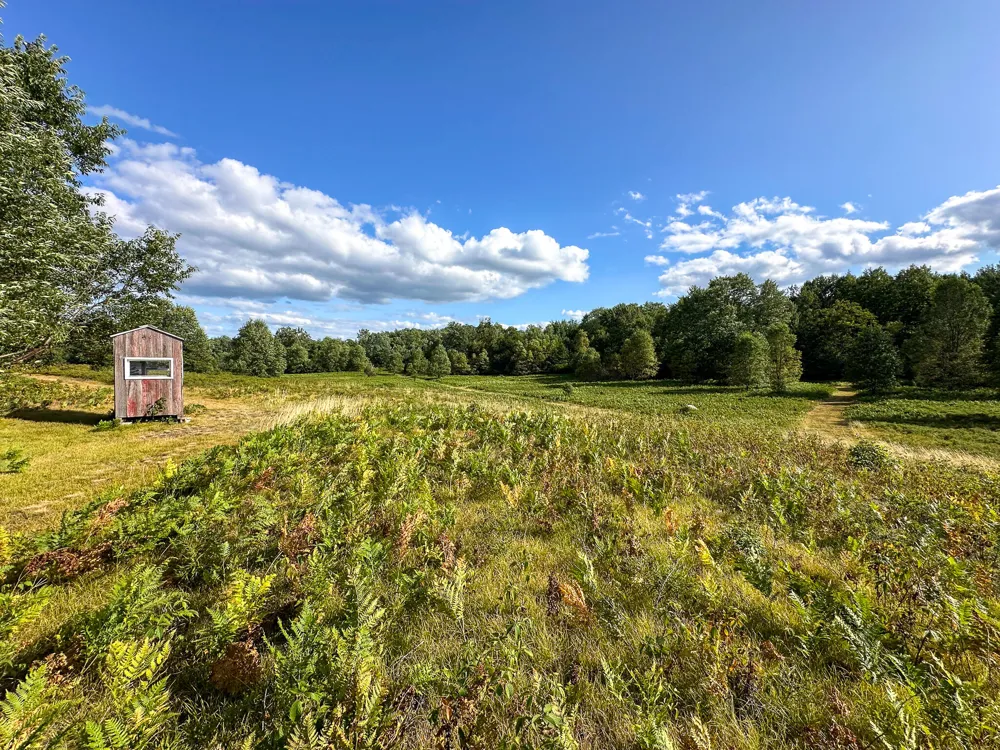 17219 7 Mile Road Reed City, MI 49677