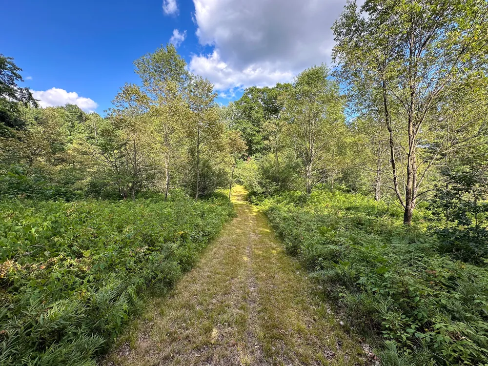 17219 7 Mile Road Reed City, MI 49677