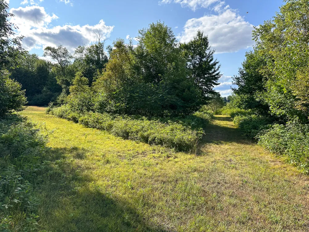 17219 7 Mile Road Reed City, MI 49677