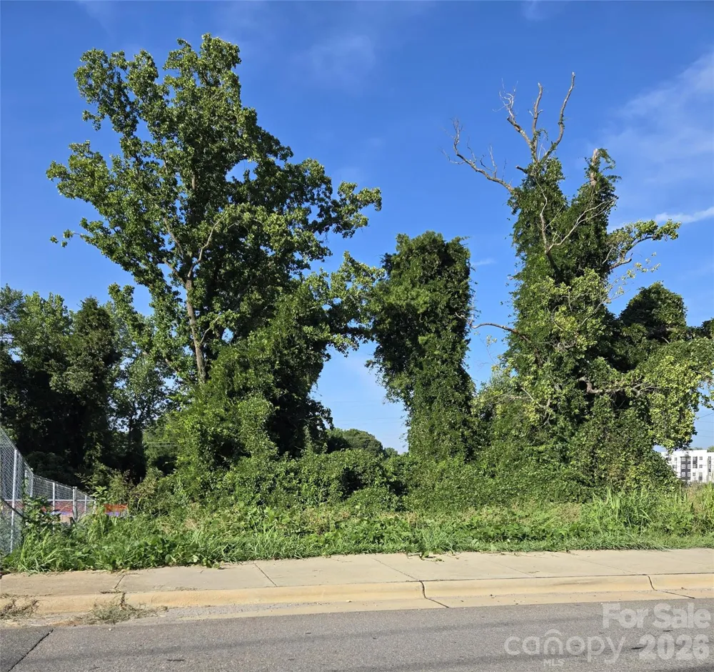 204 W 28th Street Charlotte, NC 28206