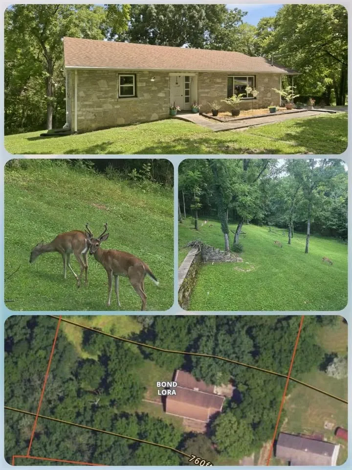 215 Wallace Dr Fayetteville, TN 37334