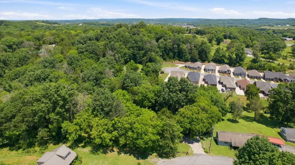215 Wallace Dr Fayetteville, TN 37334
