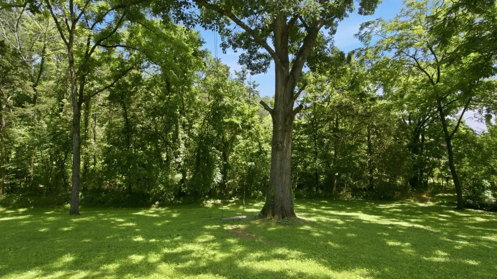 215 Wallace Dr Fayetteville, TN 37334
