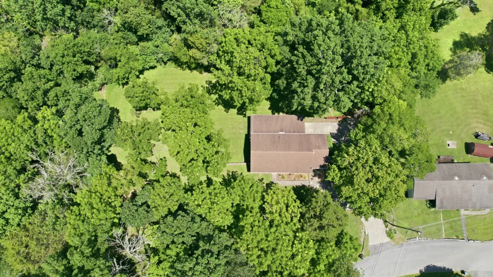 215 Wallace Dr Fayetteville, TN 37334