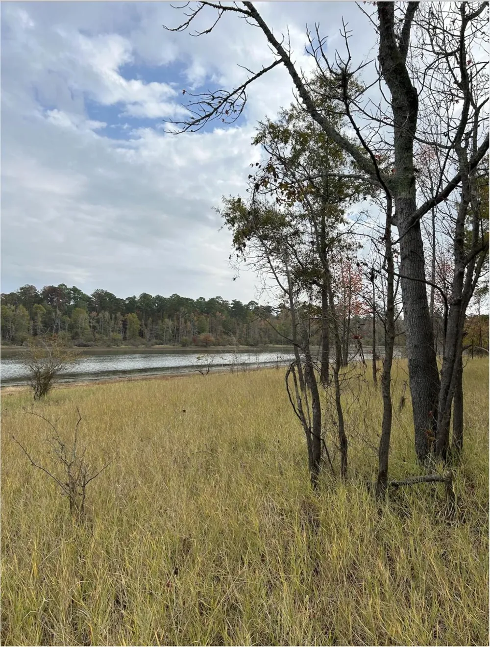 Fm 705 Broaddus, TX 75929