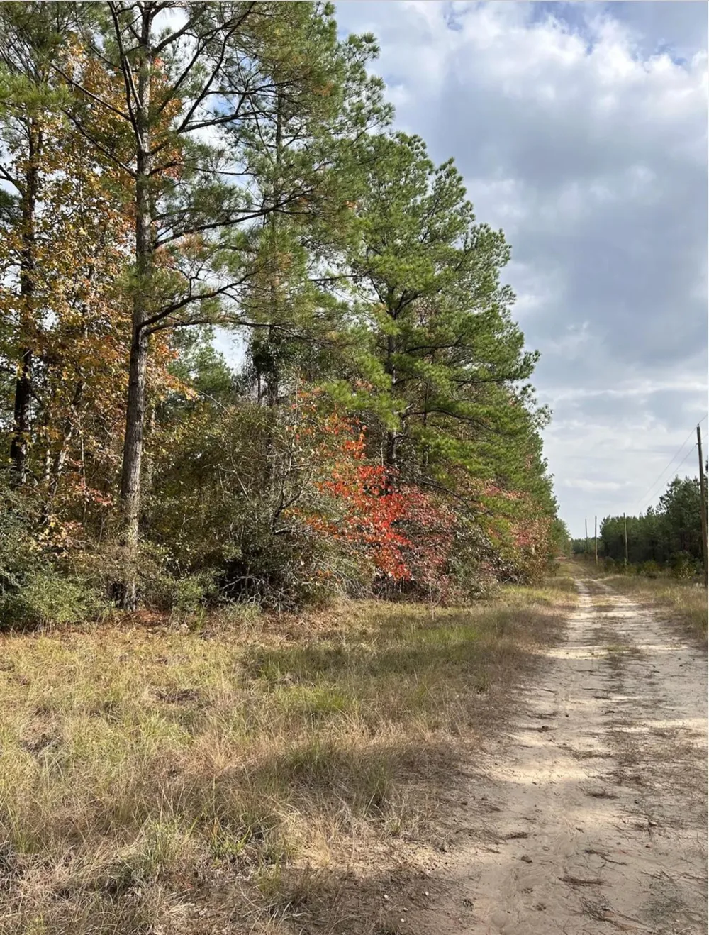 Fm 705 Broaddus, TX 75929