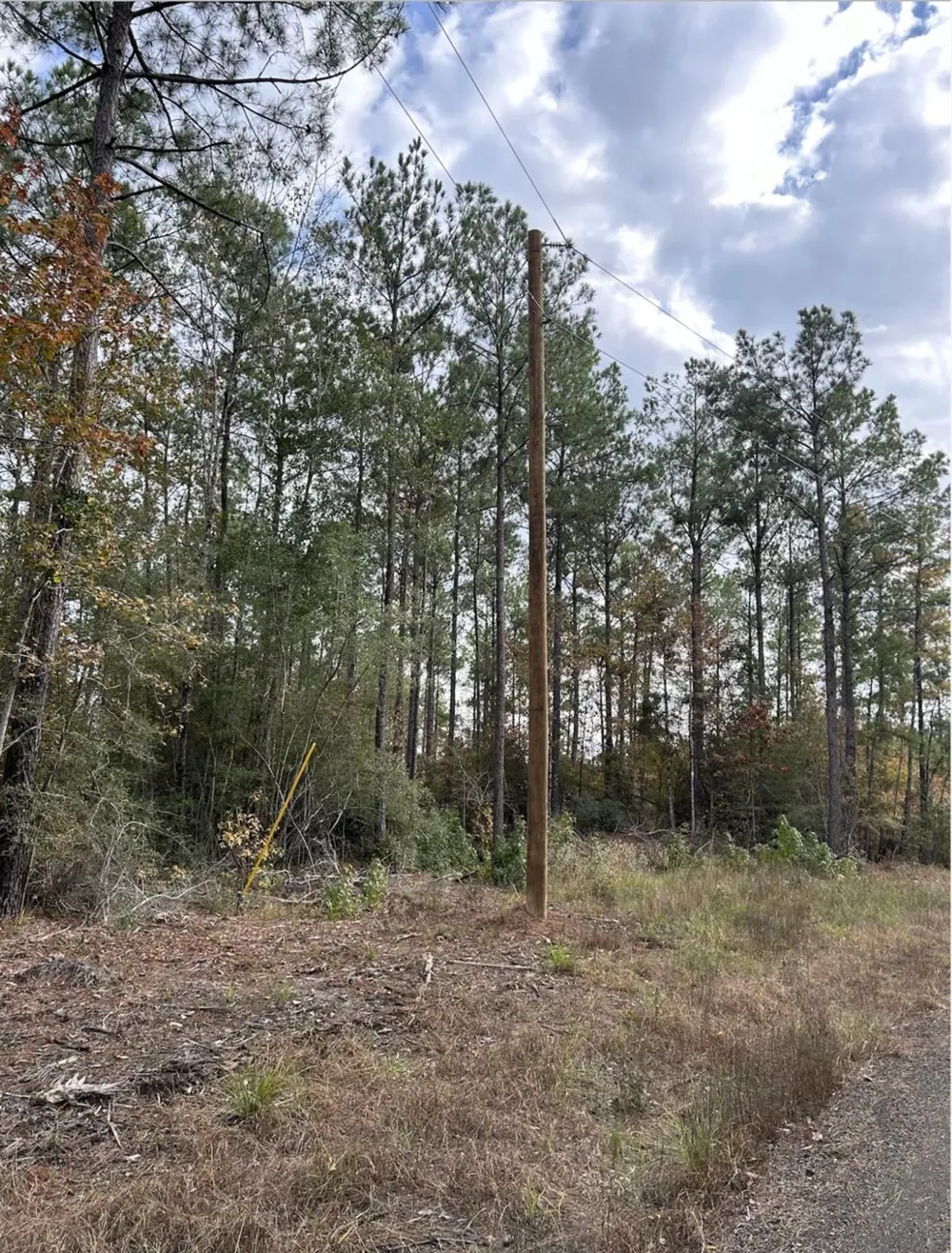 Fm 705 Broaddus, TX 75929