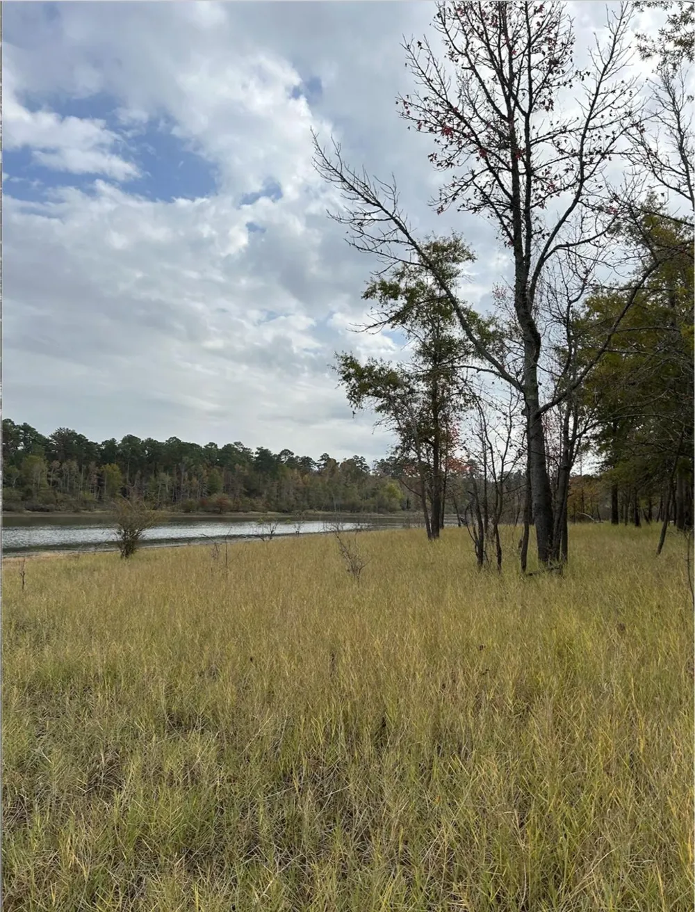 Fm 705 Broaddus, TX 75929