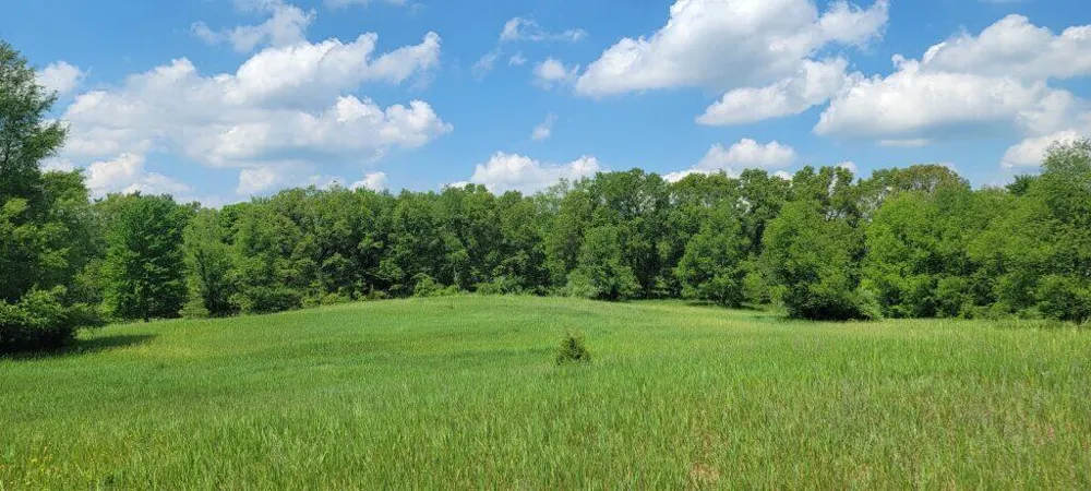 Kingsbury Road #Parcel B Delton, MI 49046
