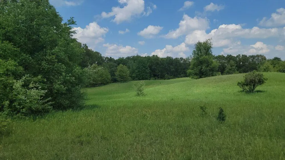 Kingsbury Road #Parcel B Delton, MI 49046