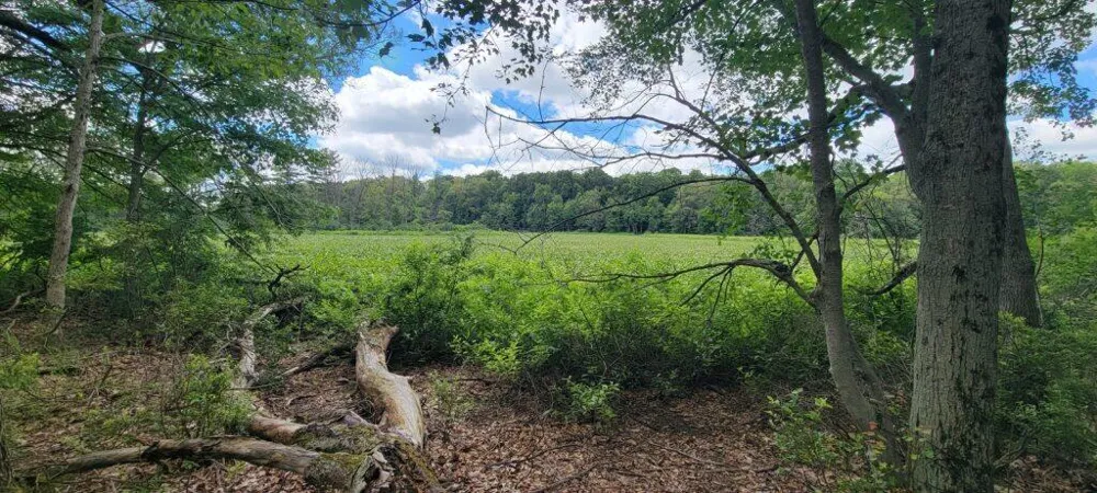 Kingsbury Road #Parcel B Delton, MI 49046