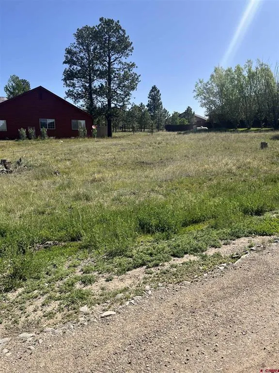20 La Costa Court Pagosa Springs, CO 81147