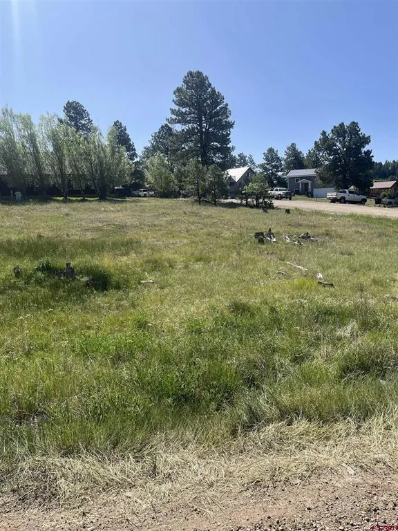 20 La Costa Court Pagosa Springs, CO 81147