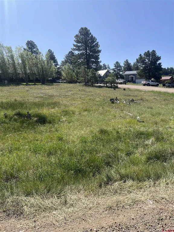 20 La Costa Court Pagosa Springs, CO 81147
