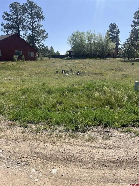 20 La Costa Court Pagosa Springs, CO 81147