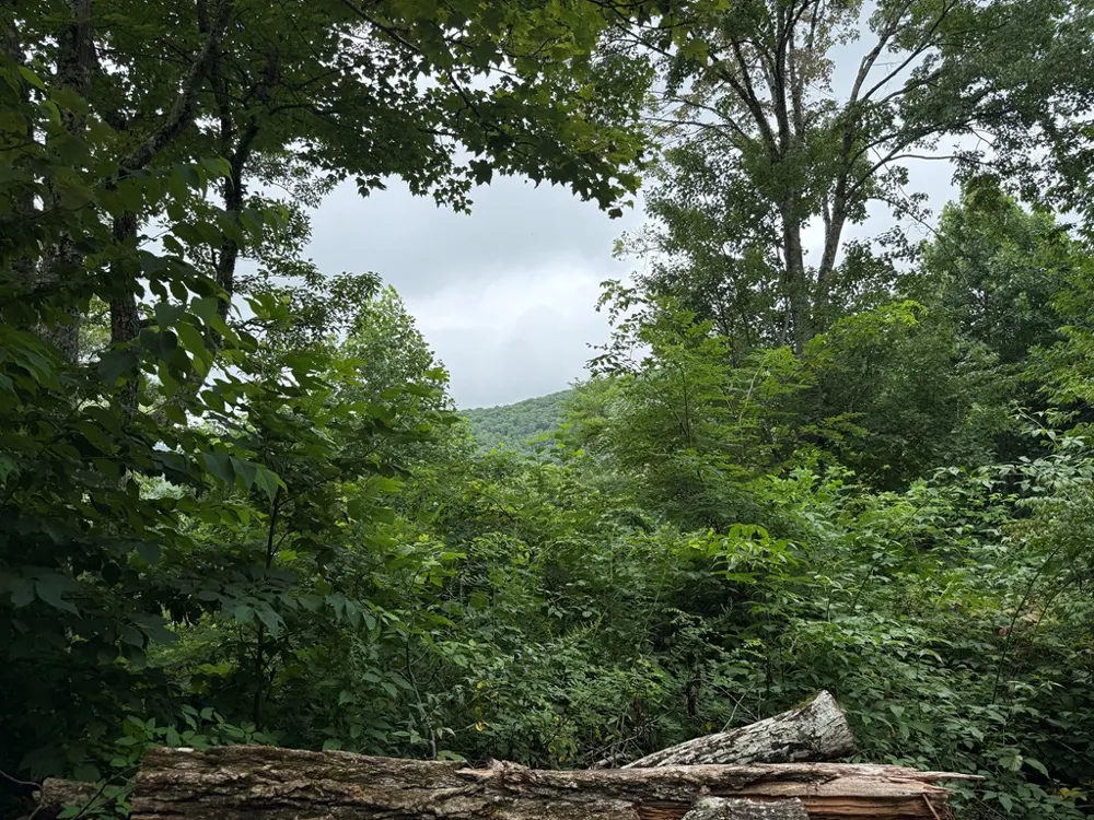 Historic Highlands Drive Highlands, NC 28741