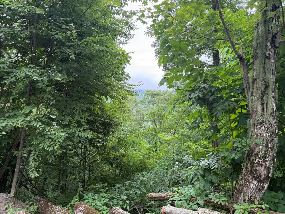 Historic Highlands Drive Highlands, NC 28741