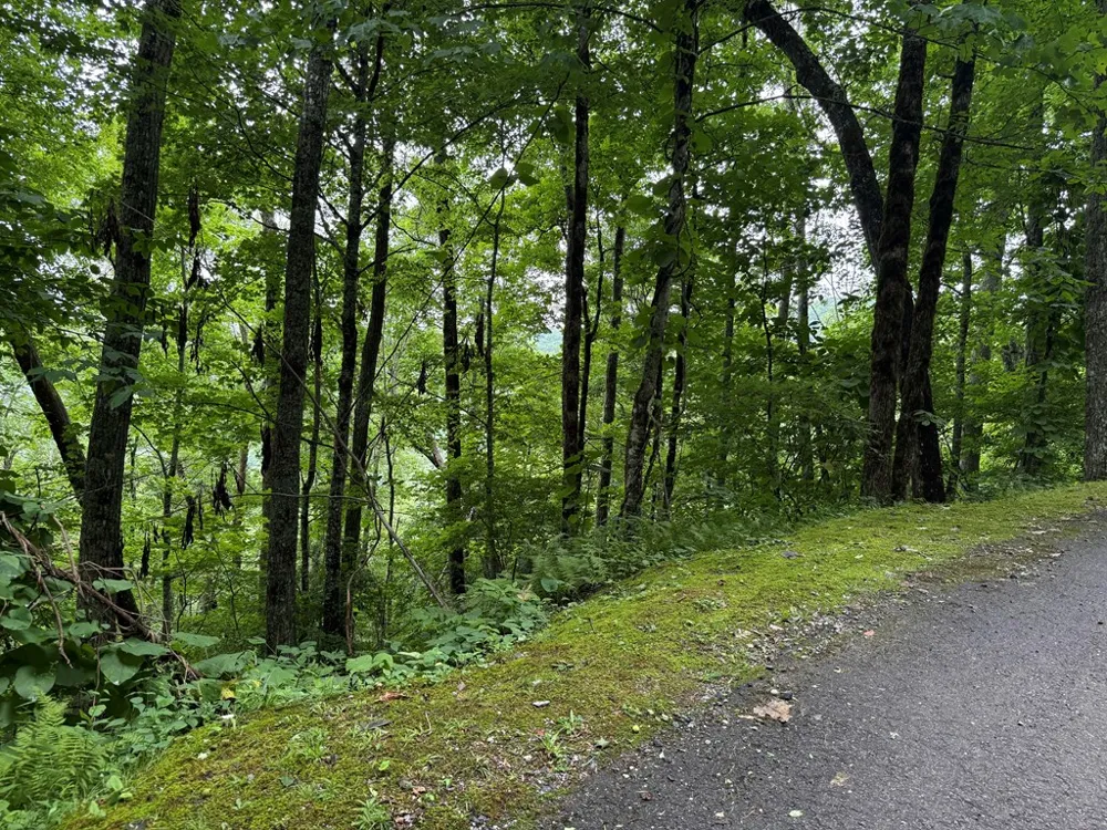 Historic Highlands Drive Highlands, NC 28741