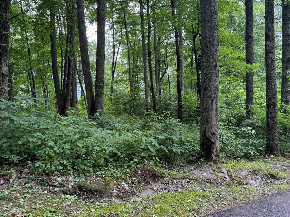 Historic Highlands Drive Highlands, NC 28741