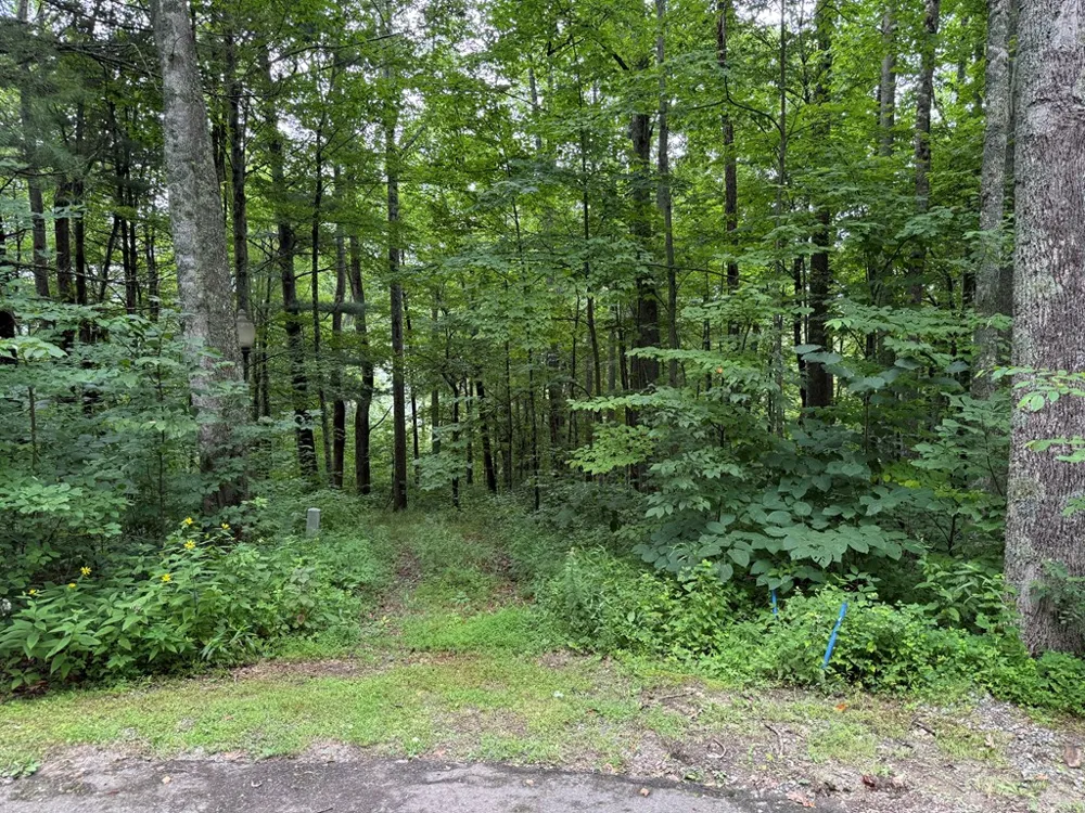 Historic Highlands Drive Highlands, NC 28741