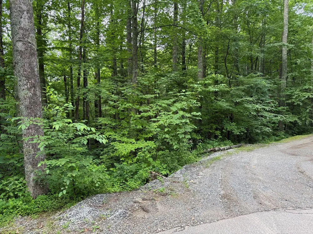 Historic Highlands Drive Highlands, NC 28741
