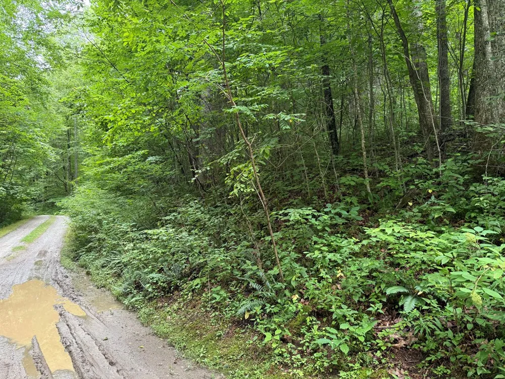 Historic Highlands Drive Highlands, NC 28741