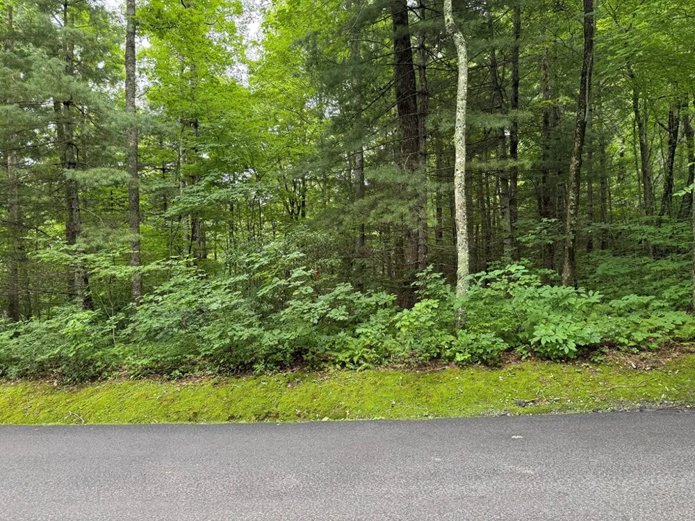 Historic Highlands Drive Highlands, NC 28741