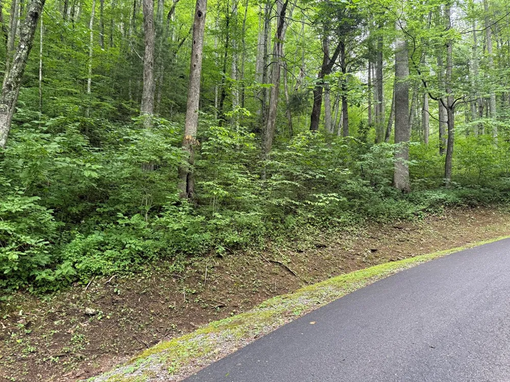 Historic Highlands Drive Highlands, NC 28741