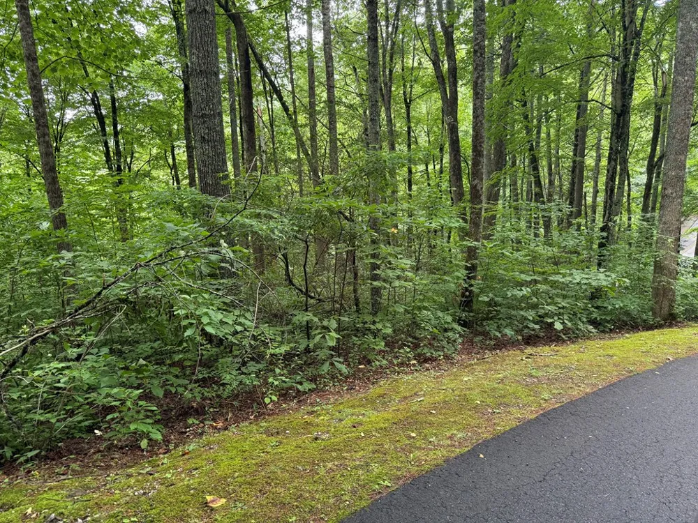 Historic Highlands Drive Highlands, NC 28741