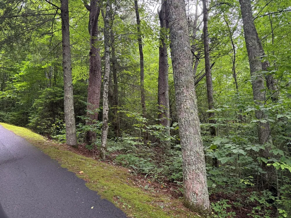 Historic Highlands Drive Highlands, NC 28741