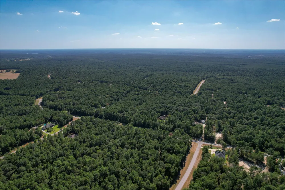 Shadowlane Court Huntsville, TX 77340