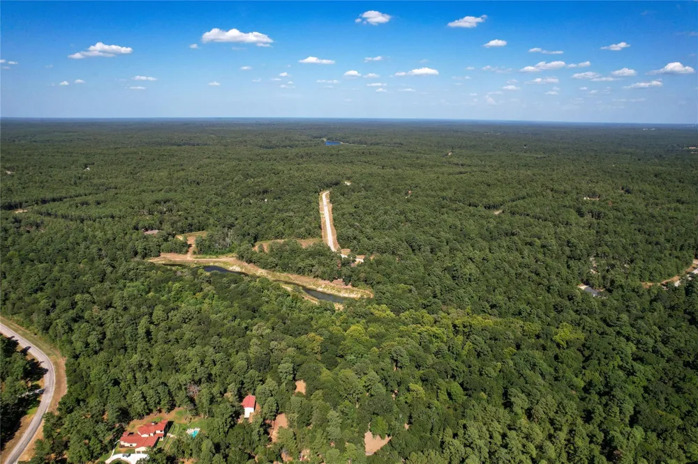 Shadowlane Court Huntsville, TX 77340