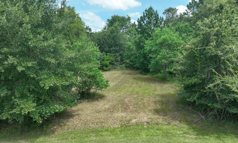 18718 Connie Avenue Magnolia, TX 77355