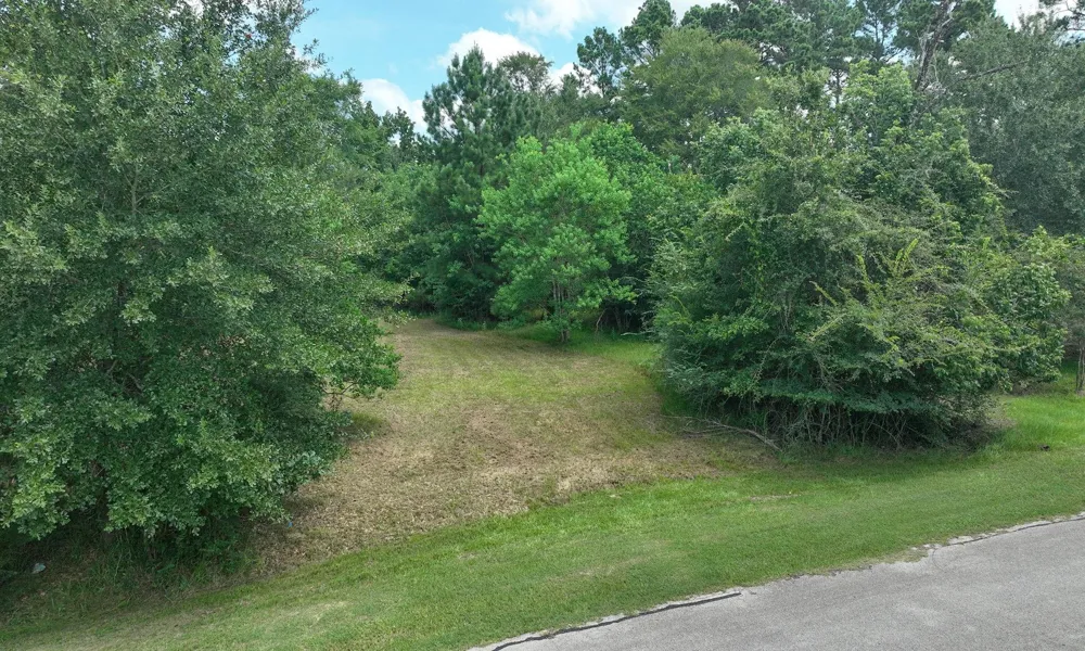 18718 Connie Avenue Magnolia, TX 77355