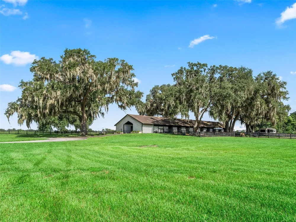 15351 SE 57TH TERRACE Summerfield, FL 34491