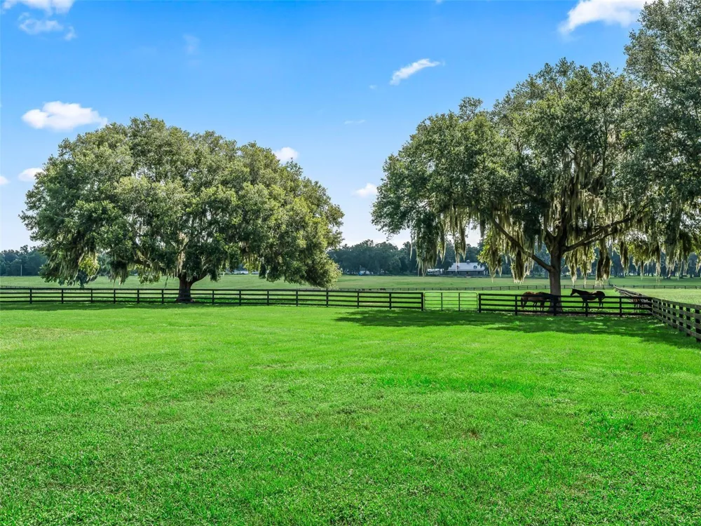 15351 SE 57TH TERRACE Summerfield, FL 34491