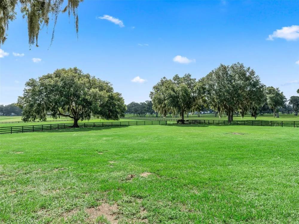 15351 SE 57TH TERRACE Summerfield, FL 34491