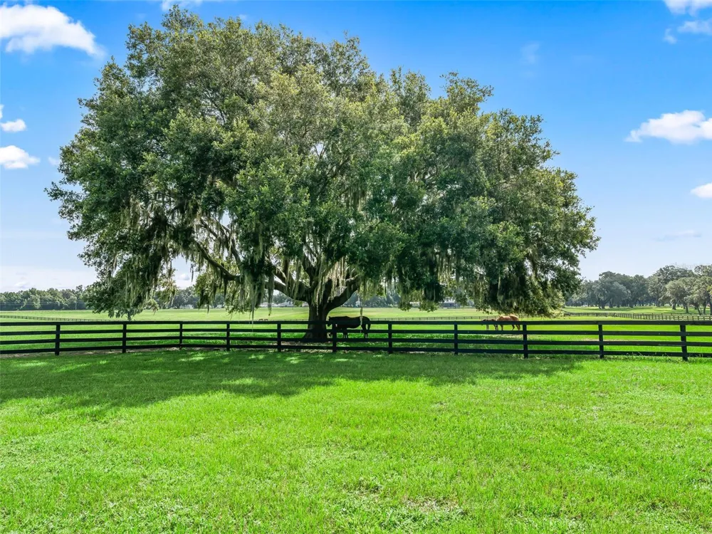 15351 SE 57TH TERRACE Summerfield, FL 34491