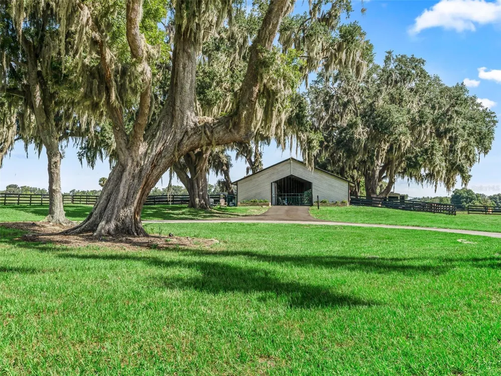 15351 SE 57TH TERRACE Summerfield, FL 34491