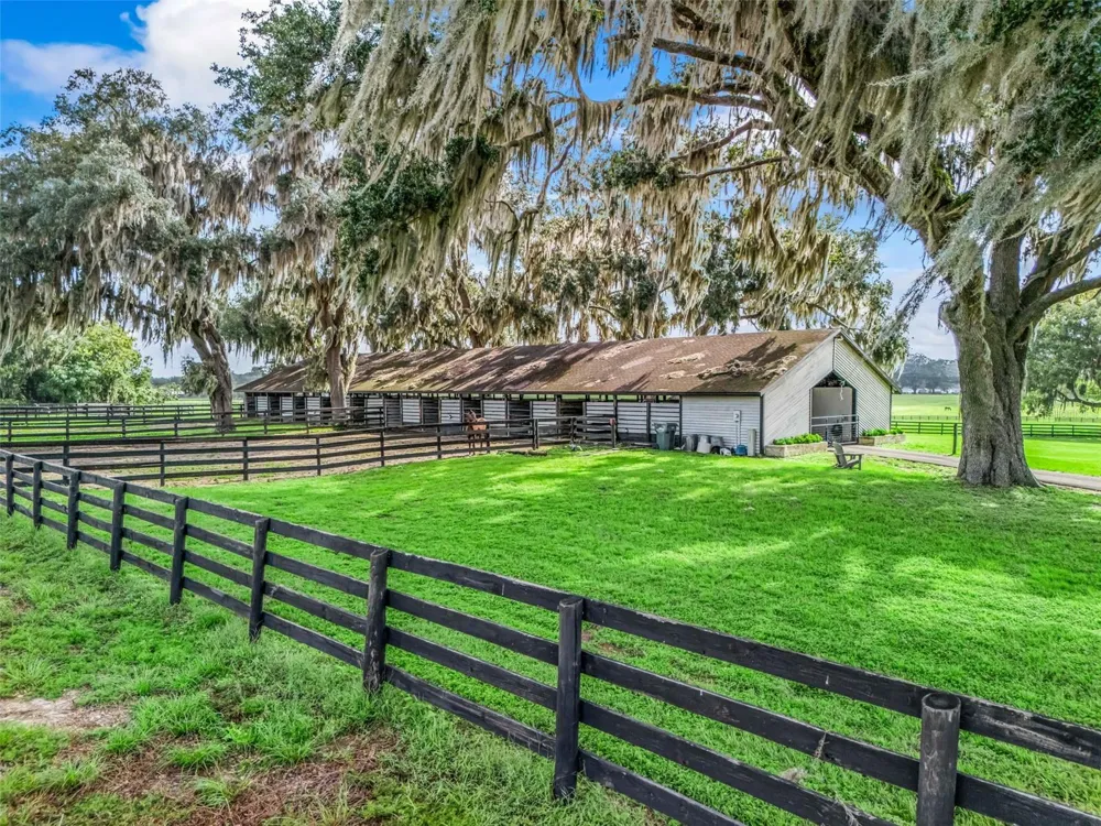 15351 SE 57TH TERRACE Summerfield, FL 34491