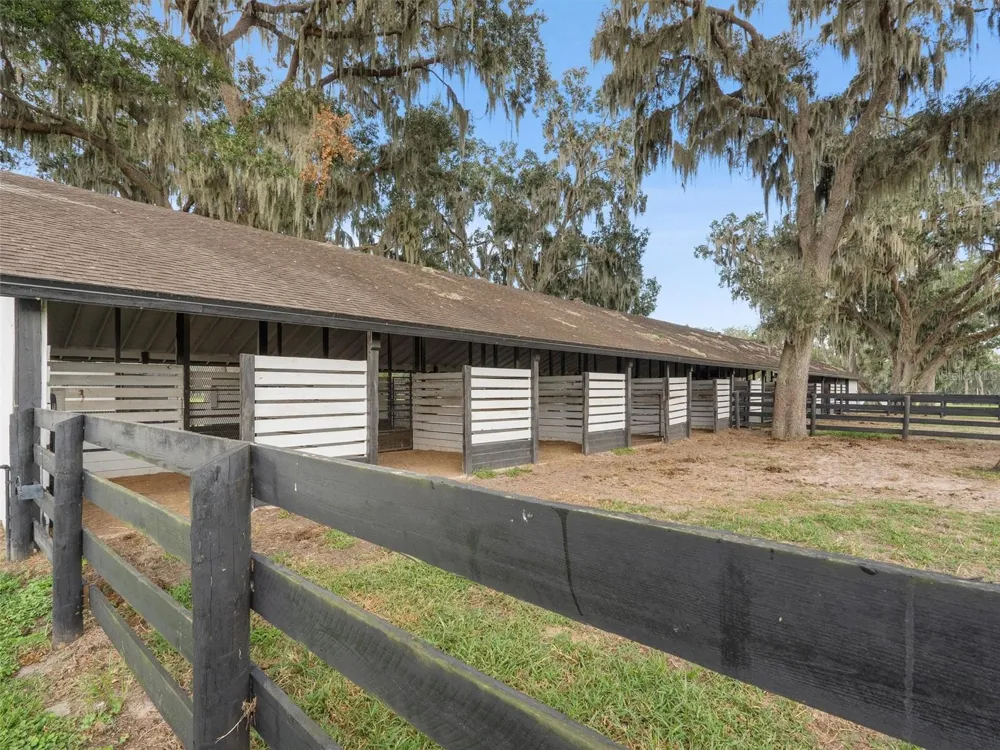 15351 SE 57TH TERRACE Summerfield, FL 34491