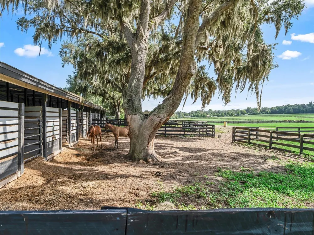 15351 SE 57TH TERRACE Summerfield, FL 34491