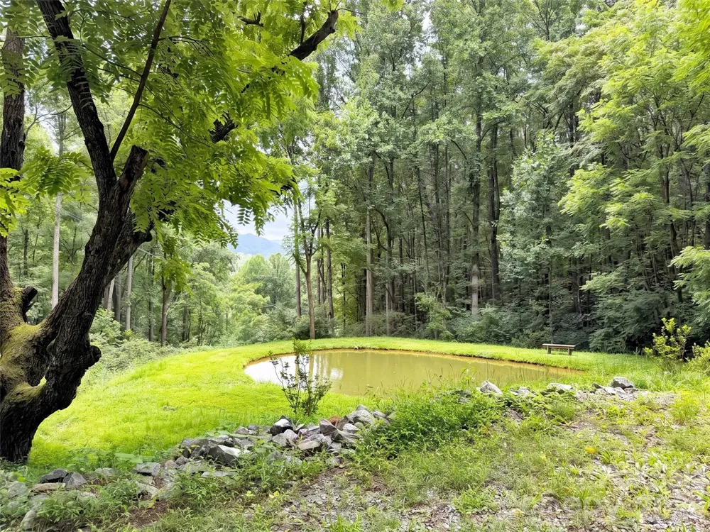 291 Incline Drive Drive Sylva, NC 28779