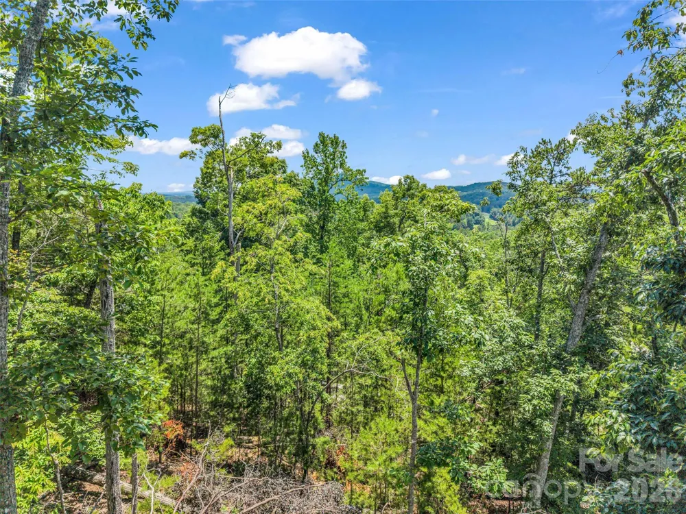 0 Matho Trace #41 Lake Lure, NC 28746