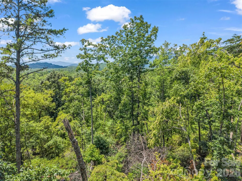 0 Matho Trace #41 Lake Lure, NC 28746